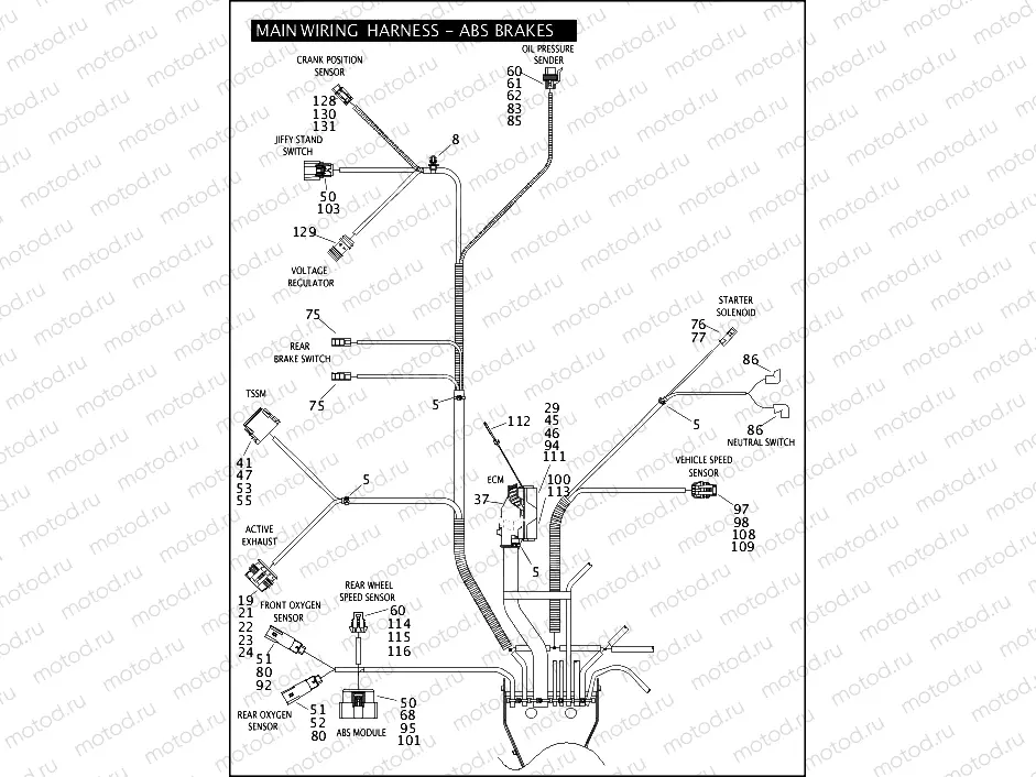 MAIN WIRING HARNESS - ABS BRAKES - FLHTP (5 OF 5)
