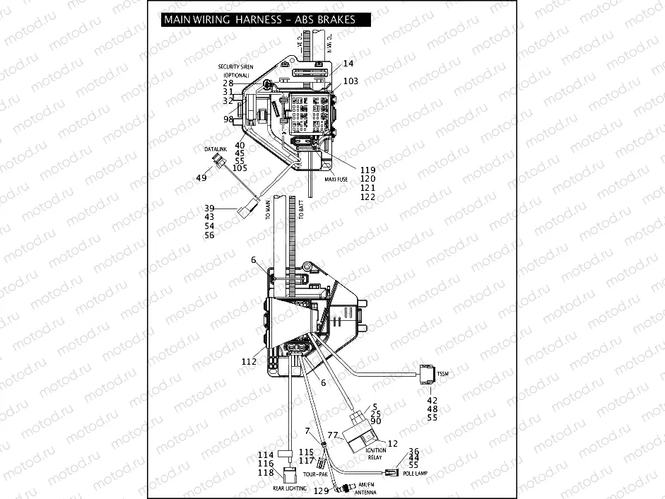 MAIN WIRING HARNESS - ABS BRAKES - FLHTP (CONTINUED)