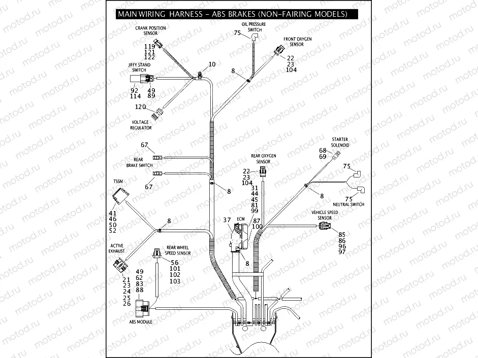 MAIN WIRING HARNESS - ABS BRAKES (NON-FAIRING MODELS) (5 OF 5)