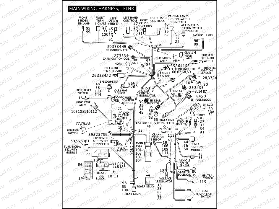 MAIN WIRING HARNESS, FLHR (1 OF 3)
