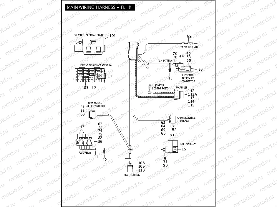 MAIN WIRING HARNESS - FLHR (3 OF 4)