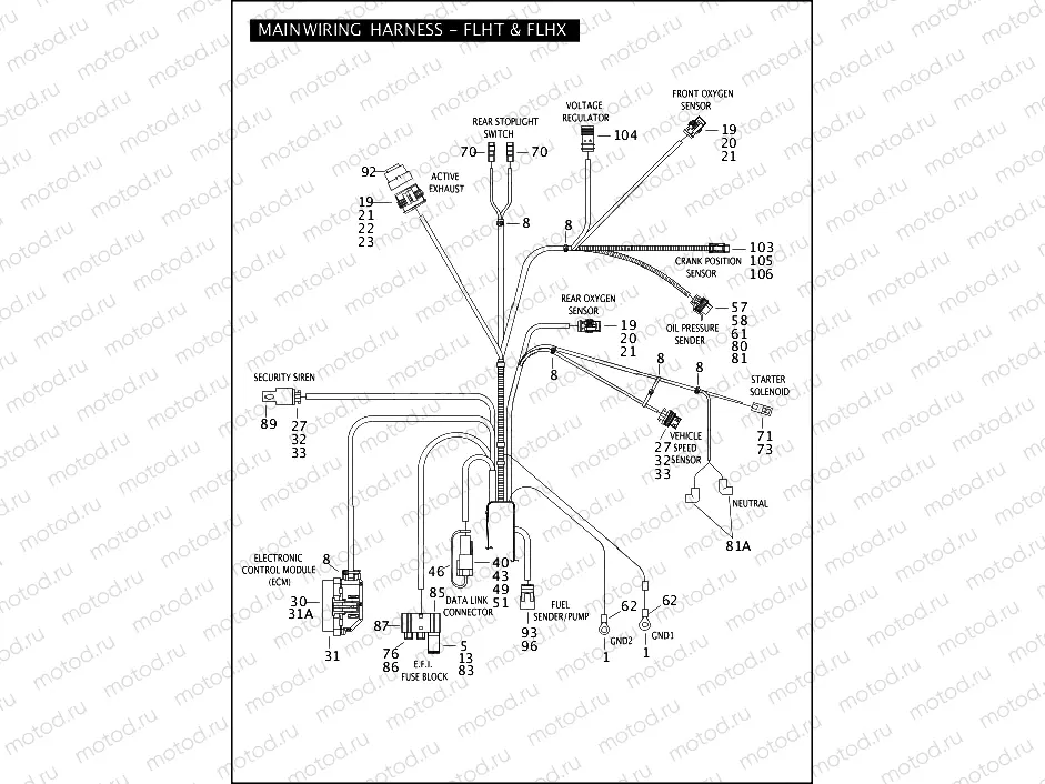 MAIN WIRING HARNESS - FLHT & FLHX (2 OF 3)