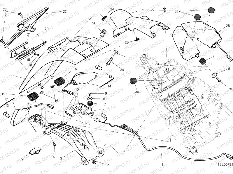 NUMBER PLATE HOLDER - TAIL LIGHT - (AUS) » LIGHTING SYSTEM