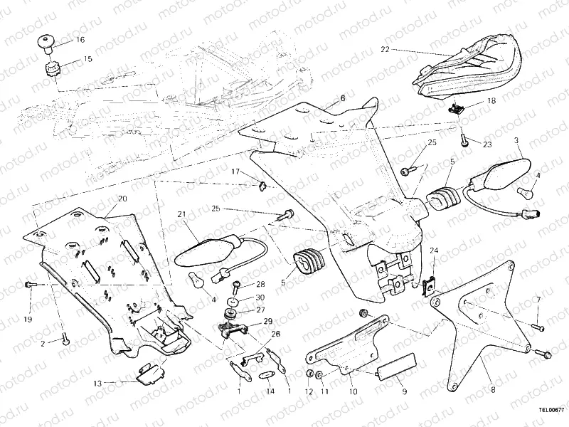 NUMBER PLATE HOLDER - TAIL LIGHT » LIGHTING SYSTEM