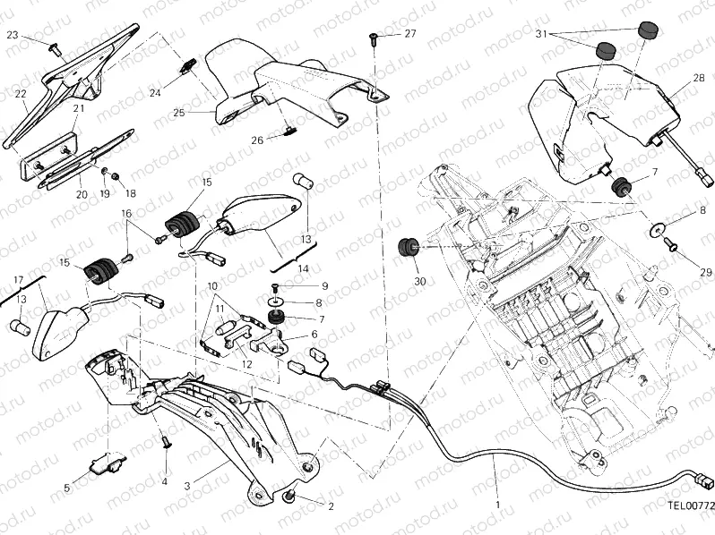 NUMBER PLATE HOLDER - TAIL LIGHT » LIGHTING SYSTEM