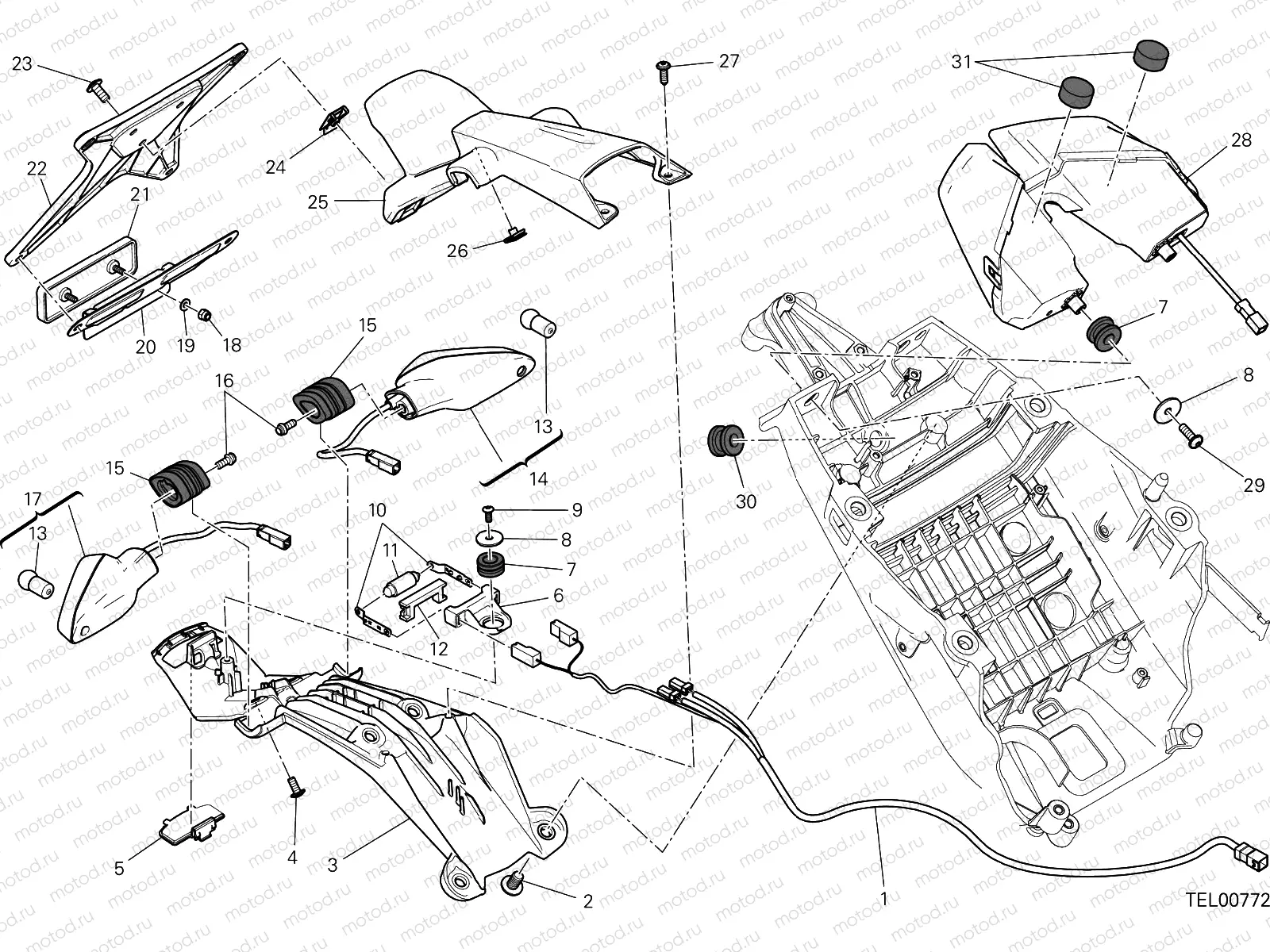 NUMBER PLATE HOLDER - TAIL LIGHT [MOD:HYM-SP;XST:EUR,FRA,JAP]
