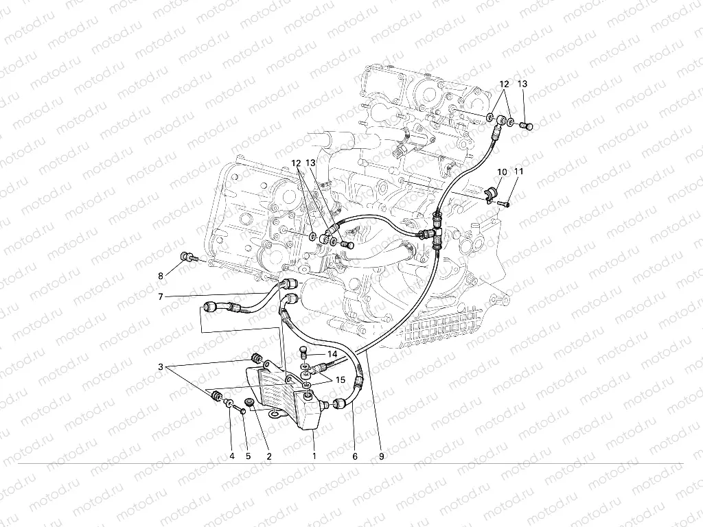 OIL COOLER