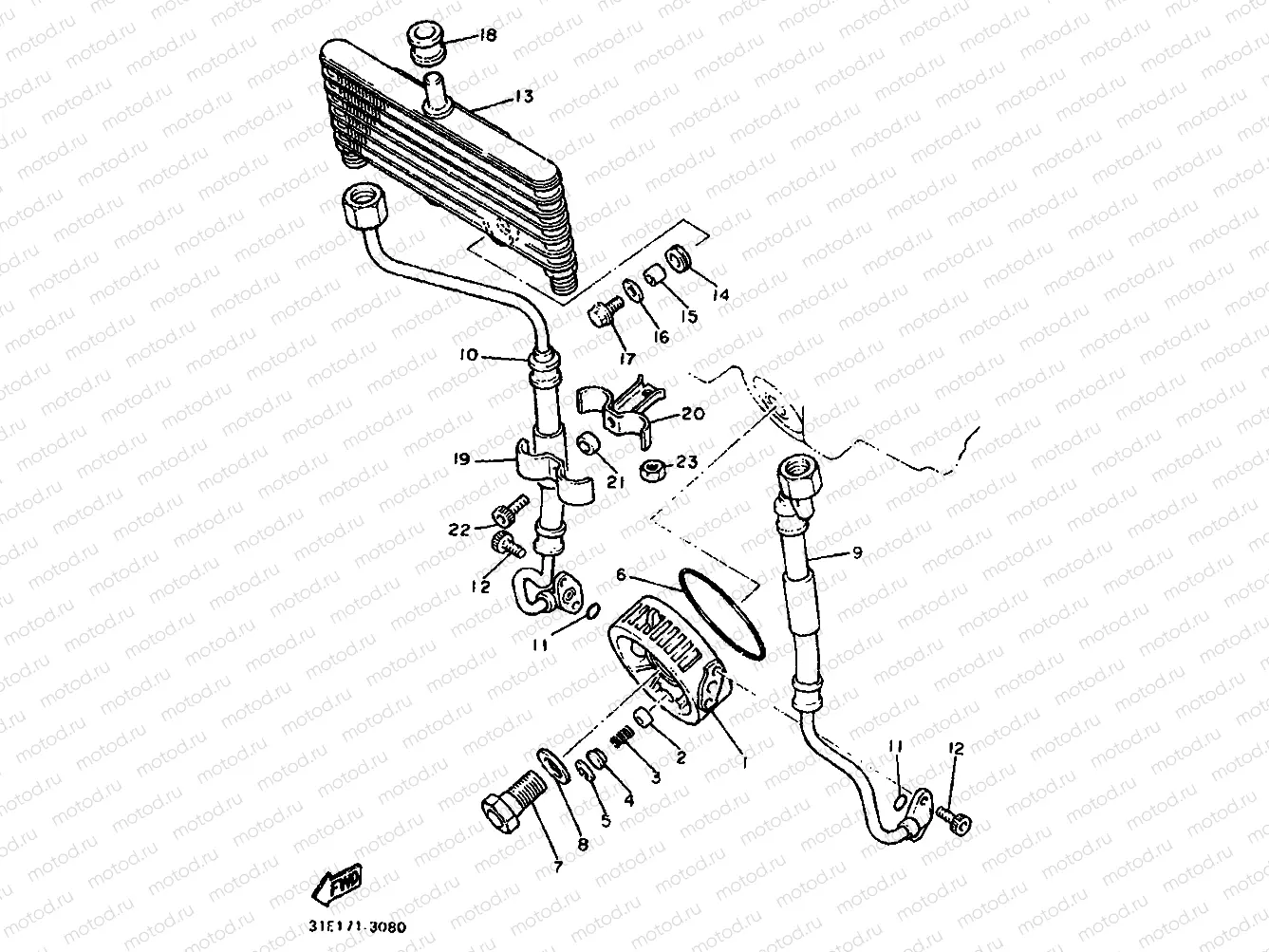 OIL COOLER