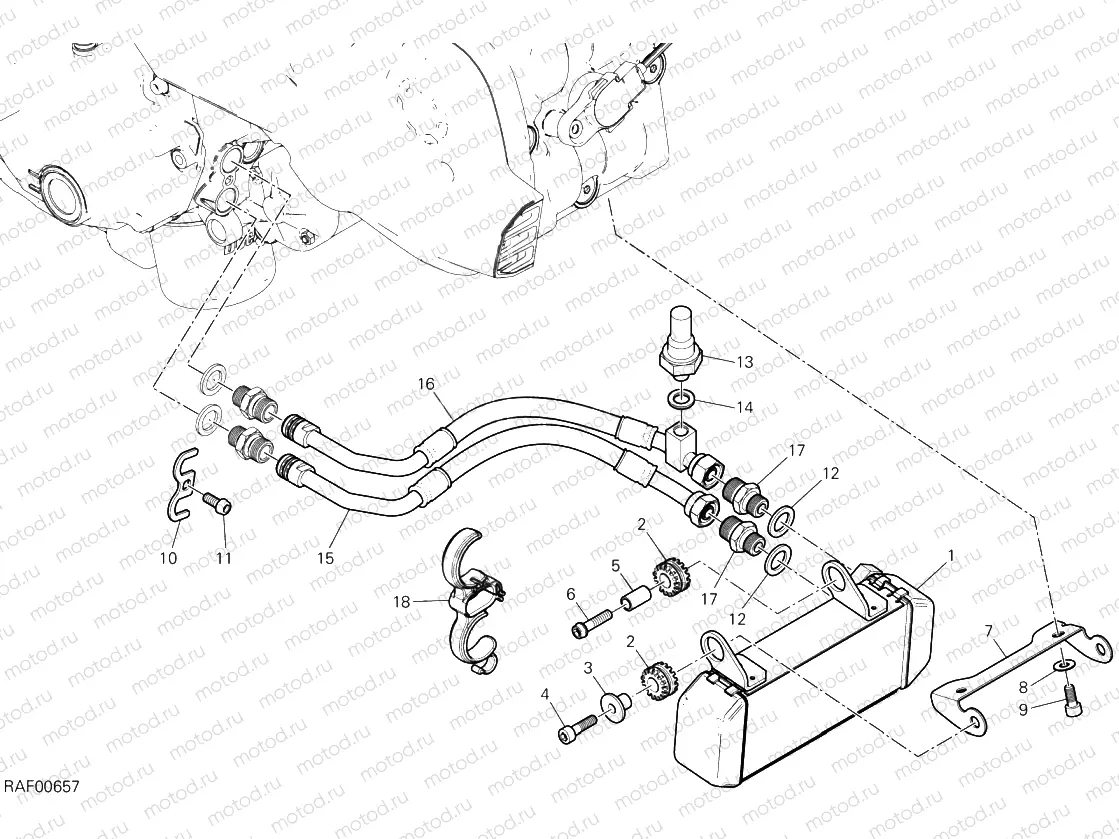 Oil Cooler