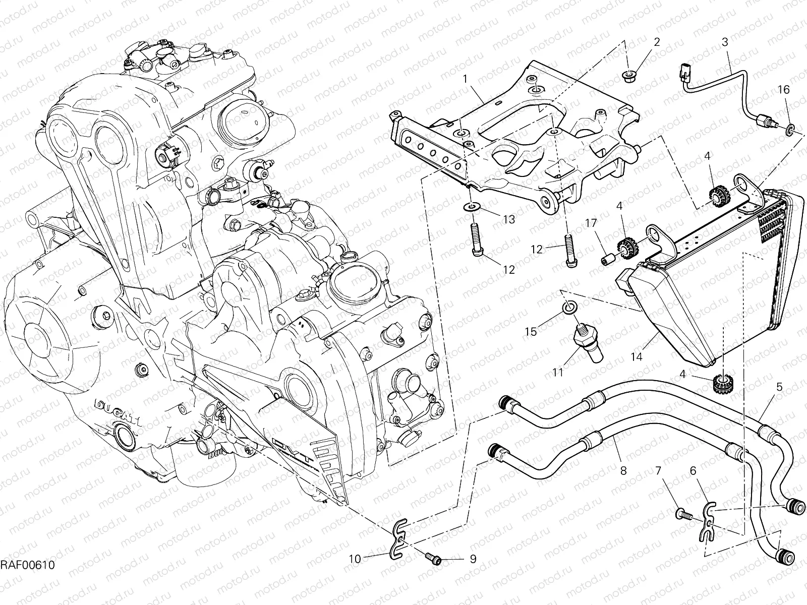 OIL COOLER
