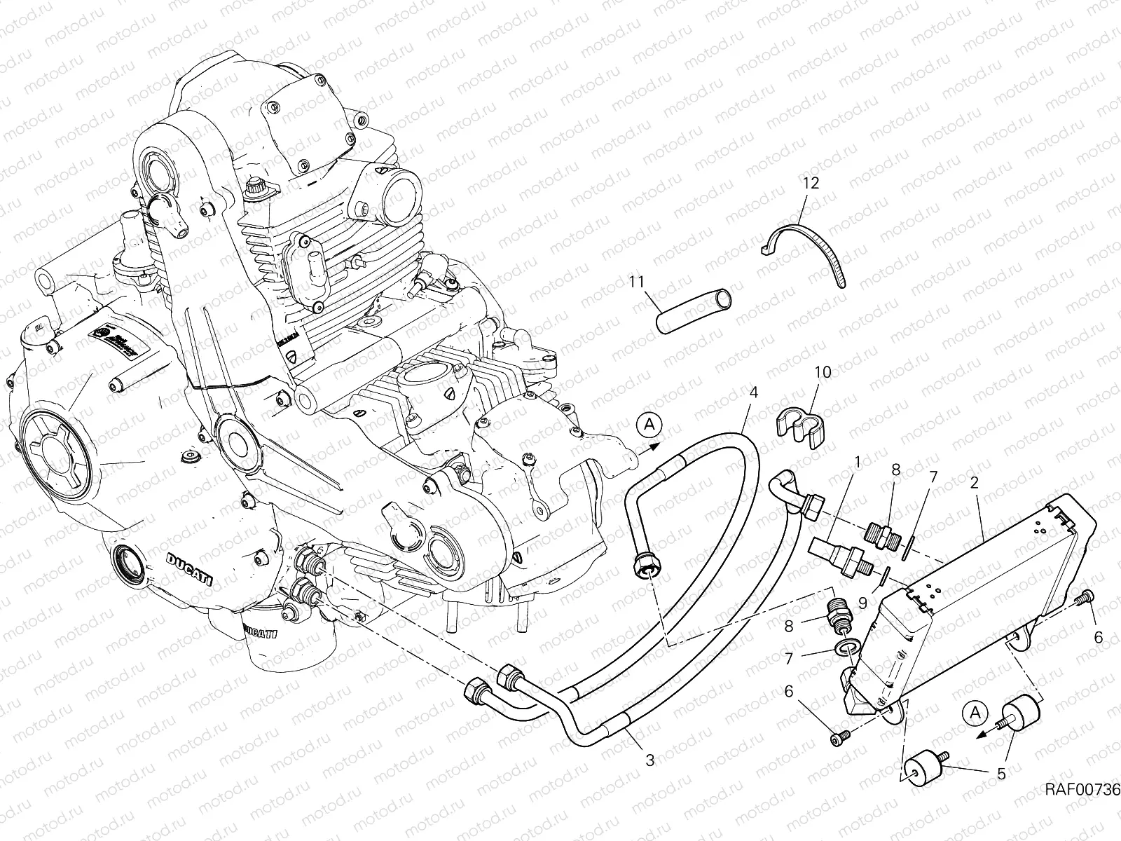 OIL COOLER