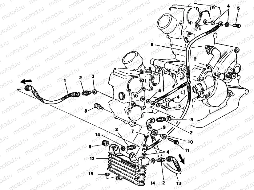 OIL COOLER » LUBRICATION SYSTEM