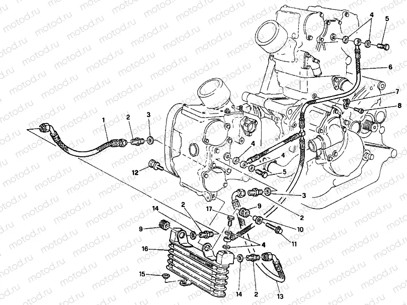 OIL COOLER » LUBRICATION SYSTEM