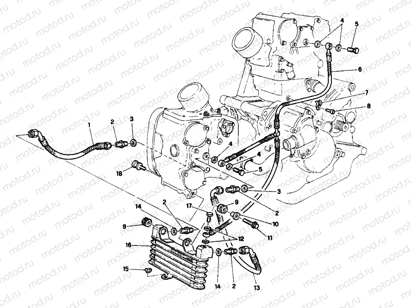 OIL COOLER » LUBRICATION SYSTEM