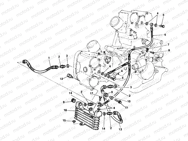 OIL COOLER » LUBRICATION SYSTEM