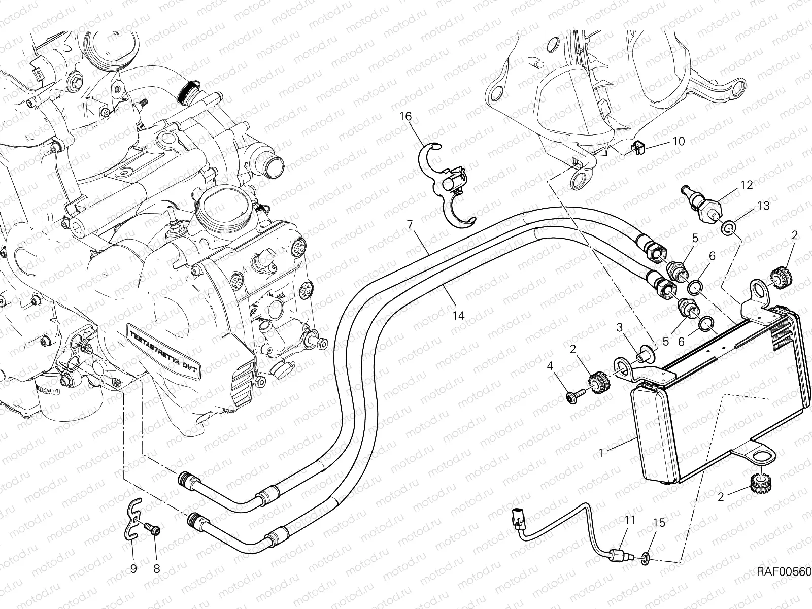 OIL COOLER [MOD:MS1200E]