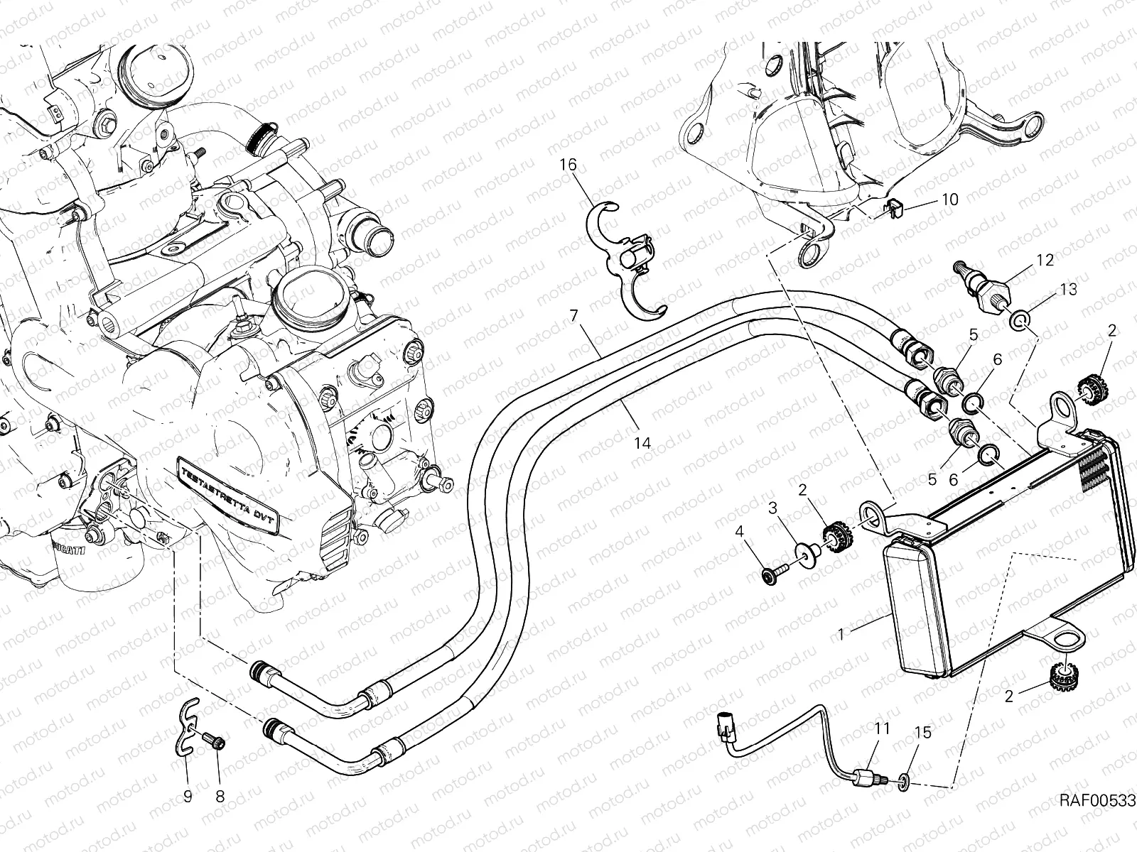 OIL COOLER [MOD:MS1200S;XST:AUS,EUR,FRA,JAP]