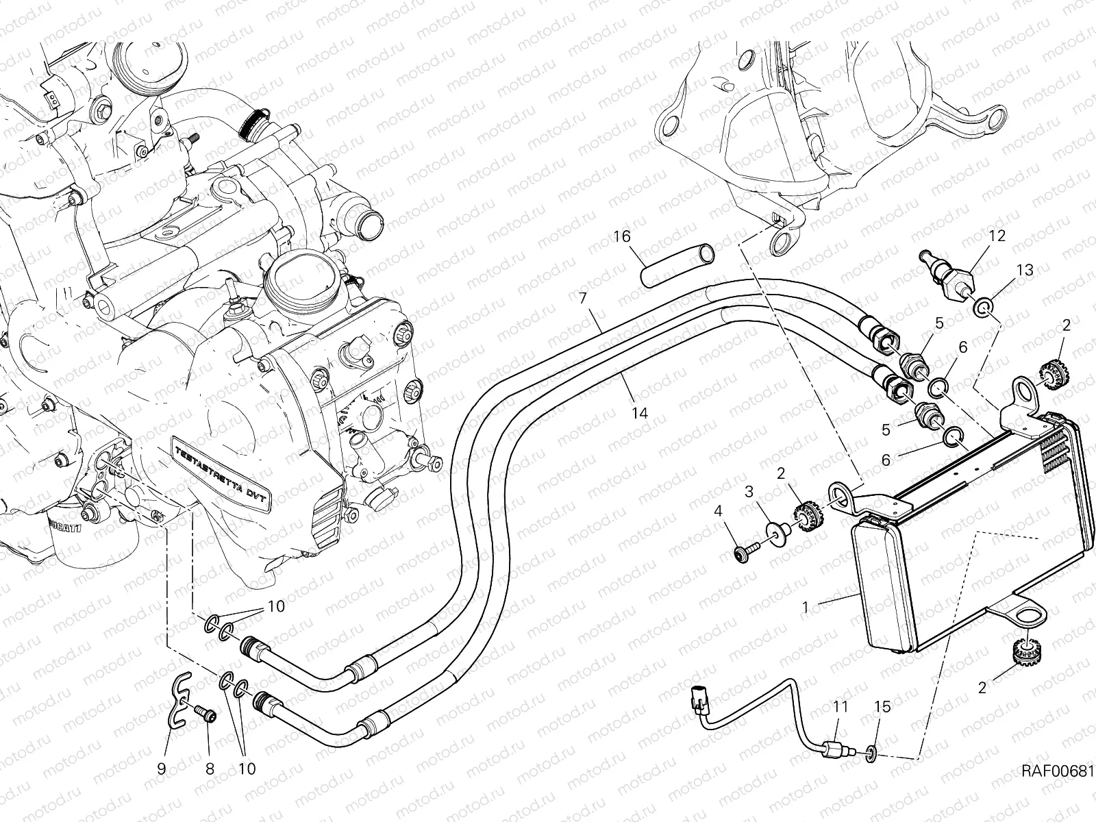 OIL COOLER [MOD:MS1260E]