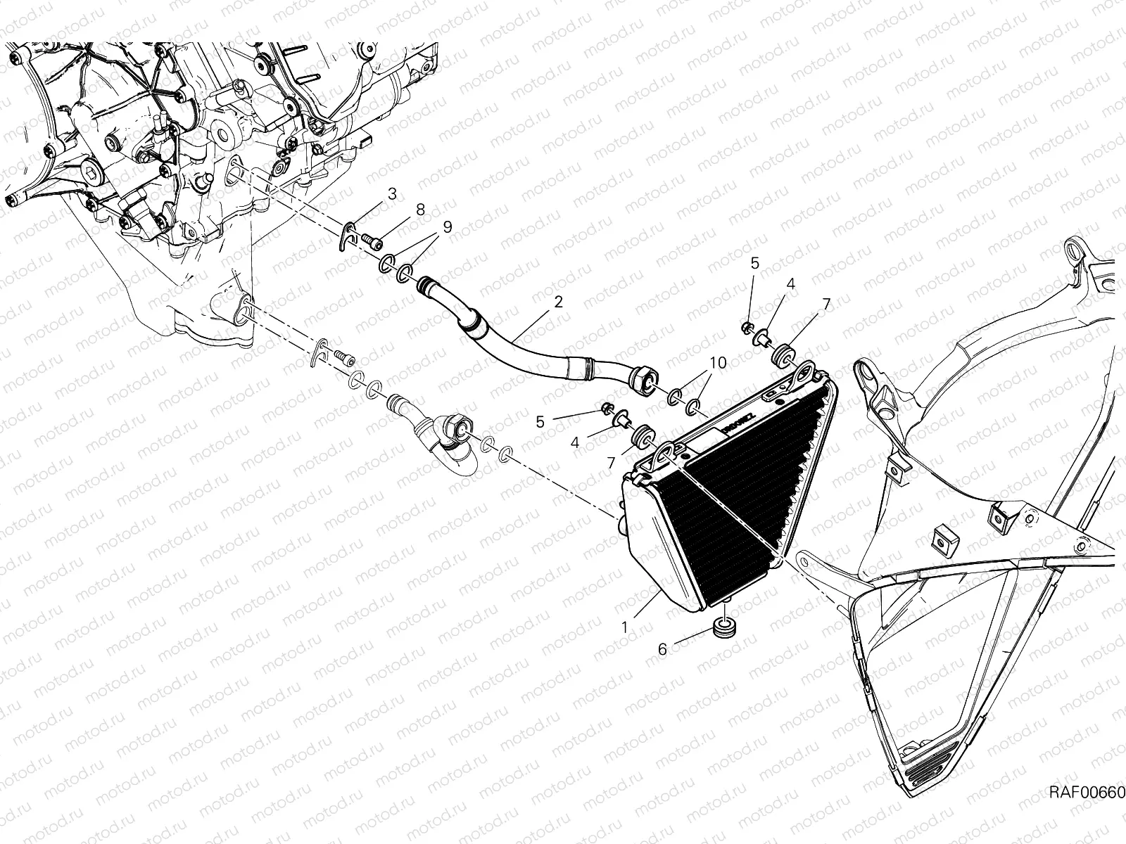 OIL COOLER [MOD:PANV4 SP,PANV4SPM]