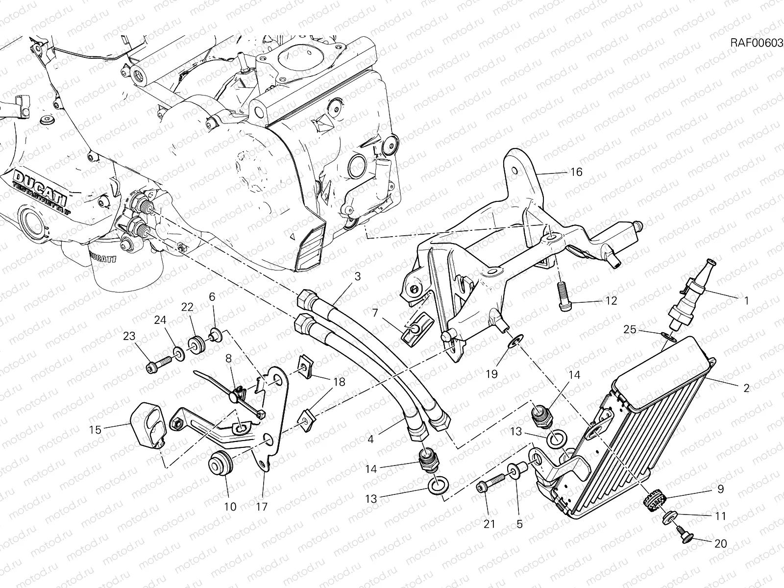 OIL COOLER [MOD:SS 939 S]