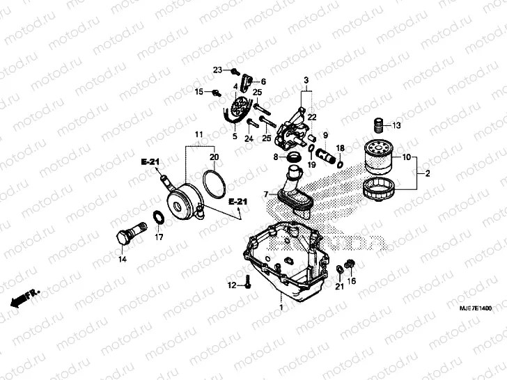OIL PAN / OIL PUMP