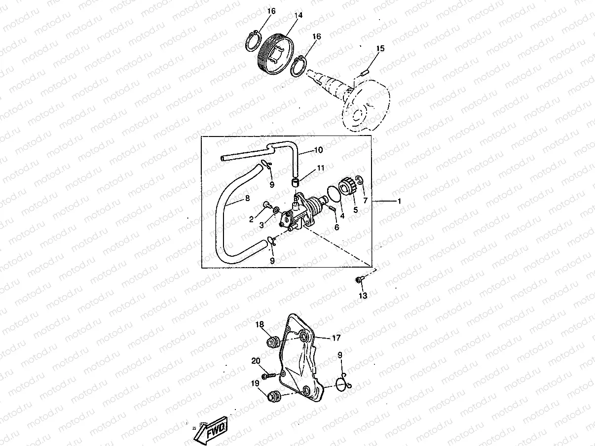 OIL PUMP