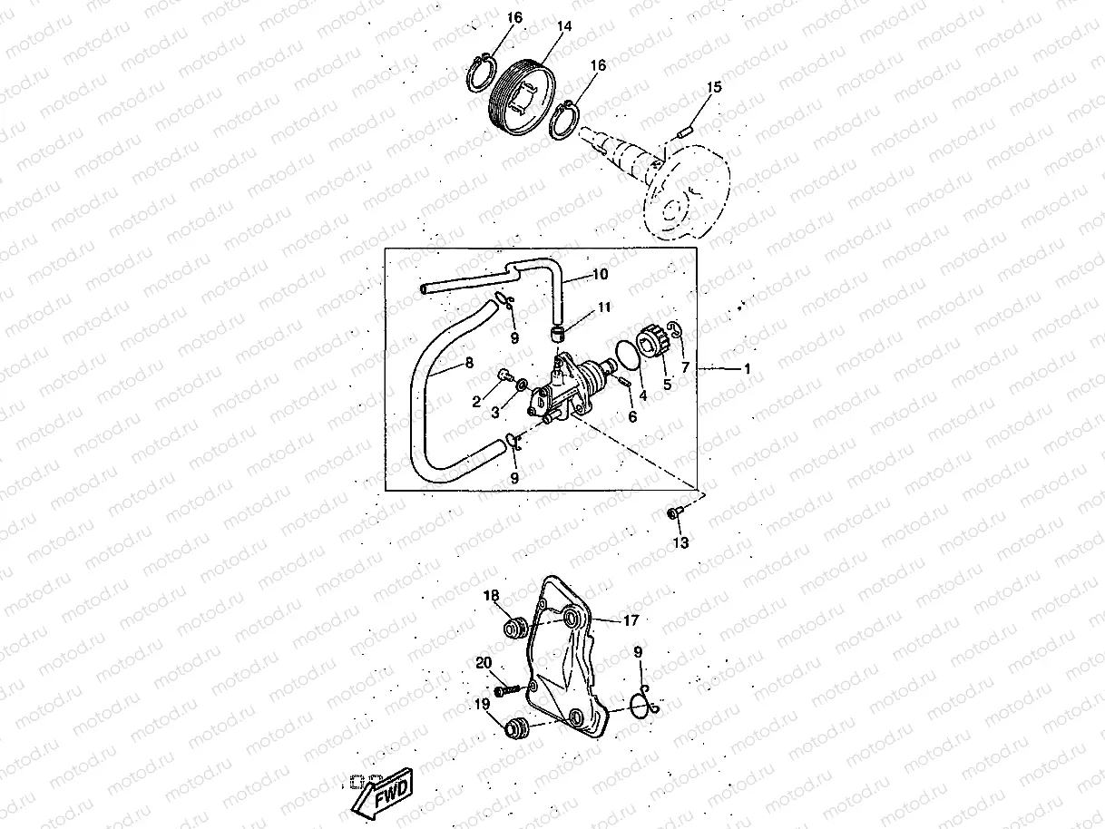 OIL PUMP
