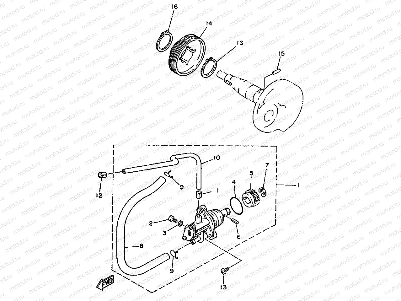 OIL PUMP