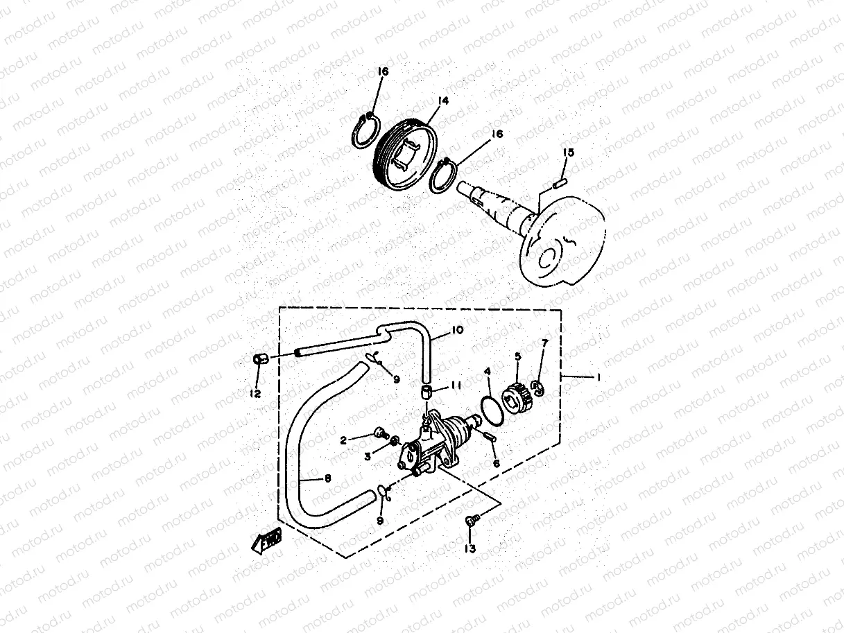 OIL PUMP