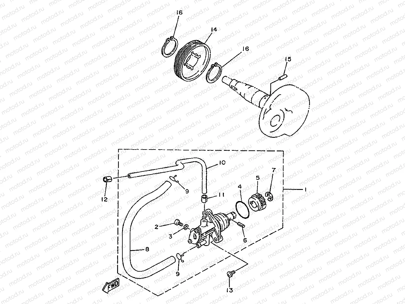 OIL PUMP