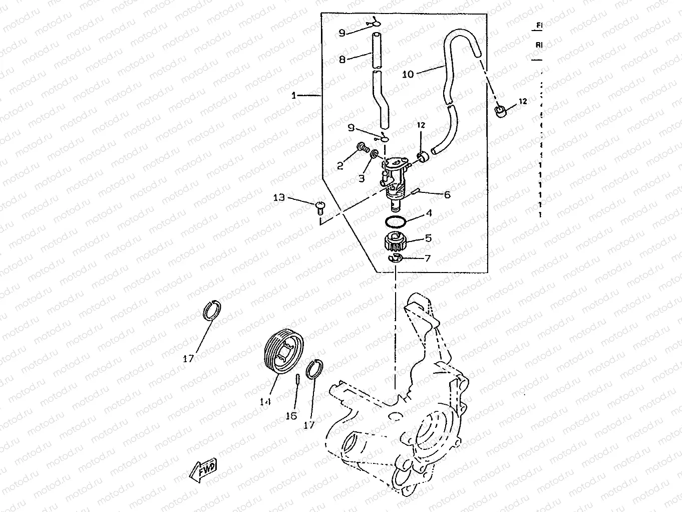OIL PUMP