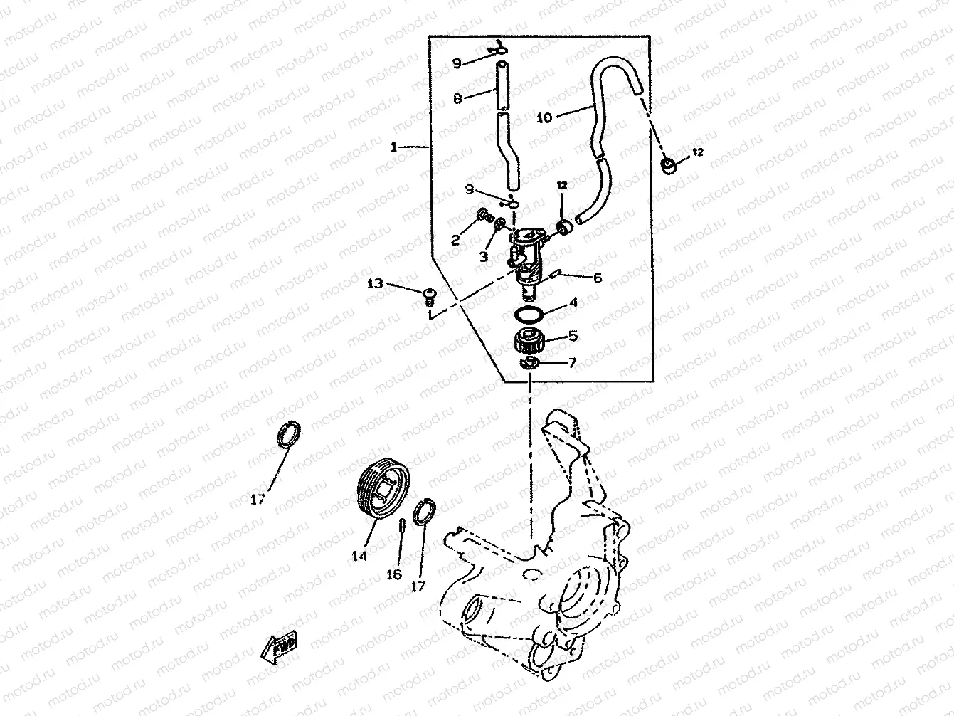 OIL PUMP