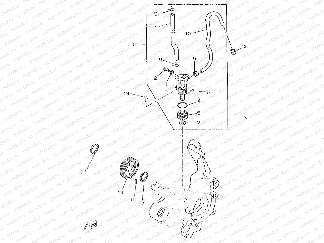 OIL PUMP