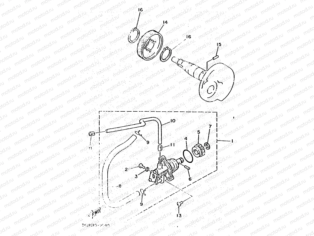 OIL PUMP