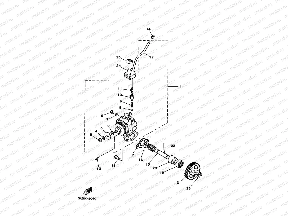 OIL PUMP