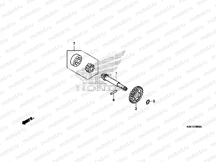 OIL PUMP
