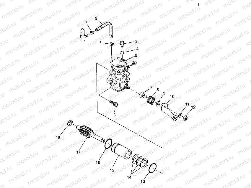 OIL PUMP ASSEMBLY Trail Blazer W937221 (4924082408033A) | OIL PUMP ASSEMBLY Trail Blazer W937221 (4924082408033A)