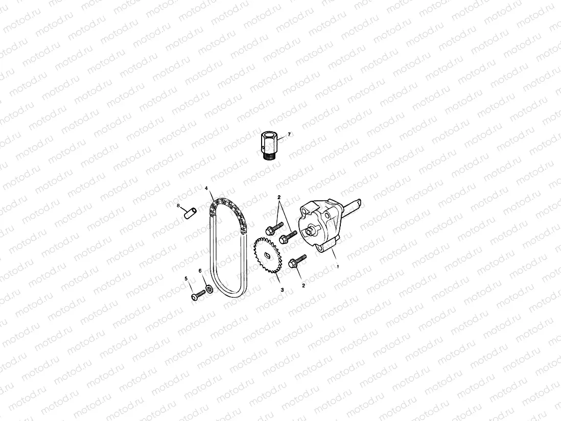 Oil Pump & Drive