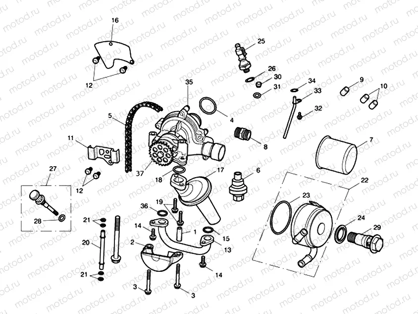 Oil Pump Drive