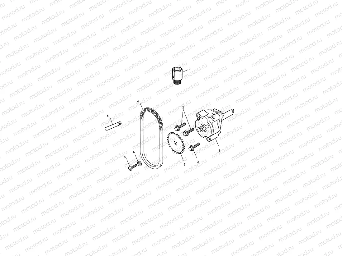 Oil Pump & Drive