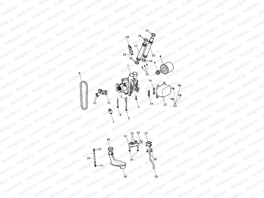 Oil Pump Drive
