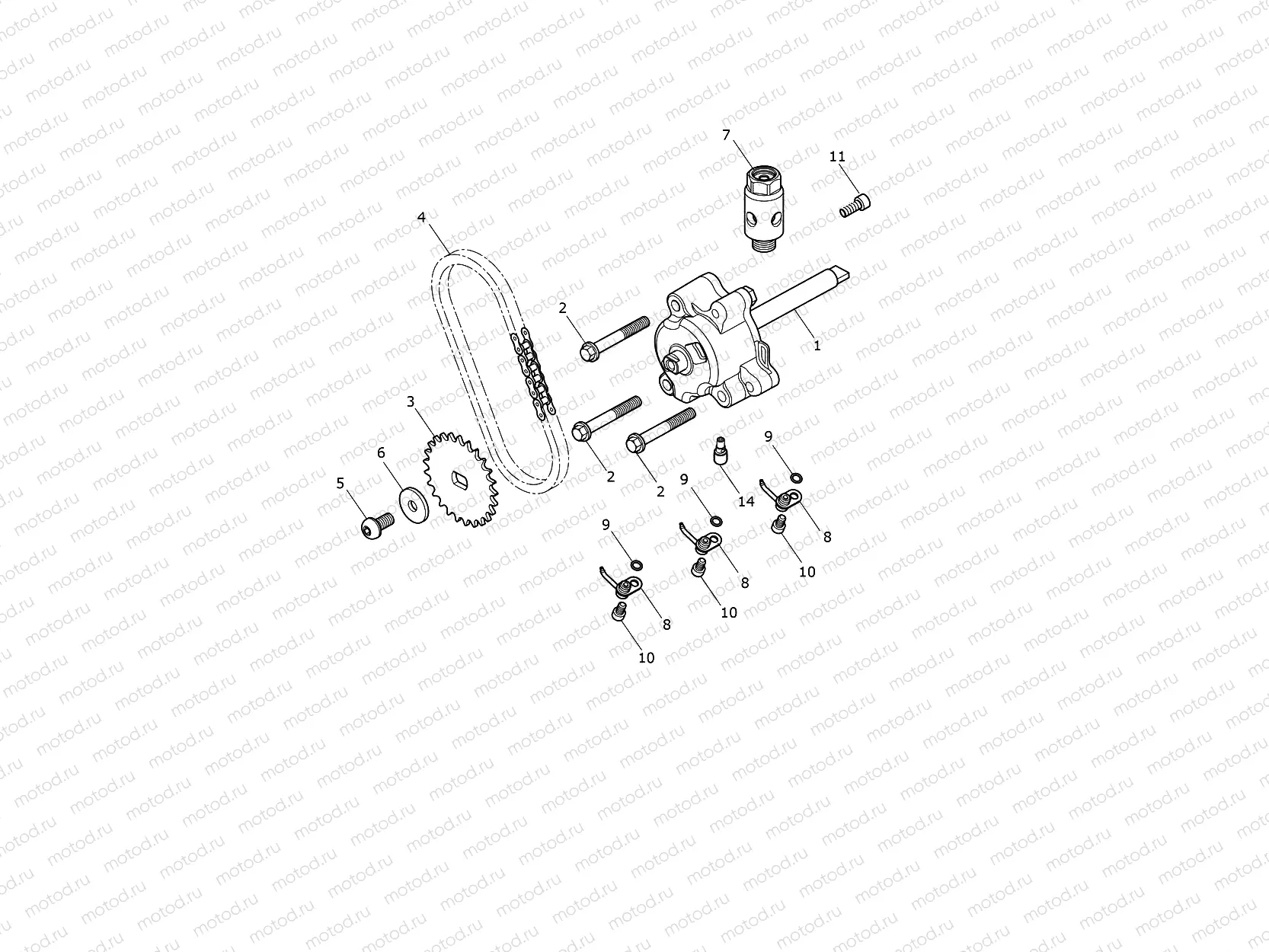 Oil Pump Drive