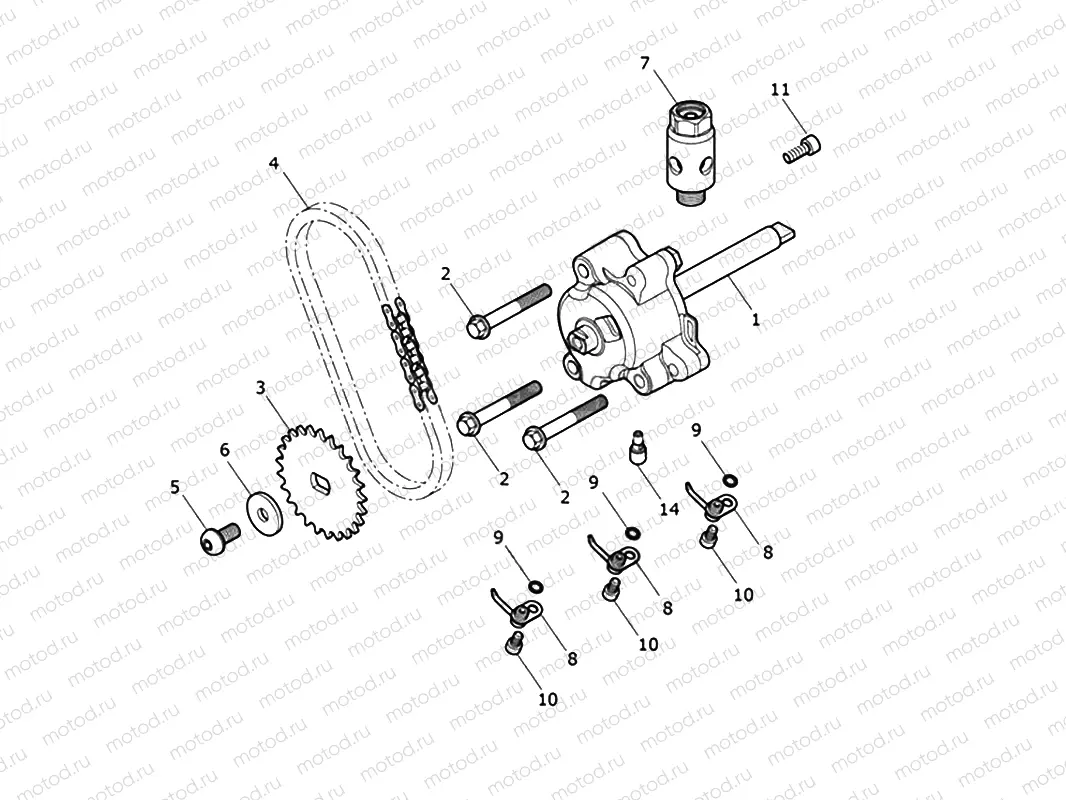 Oil Pump Drive