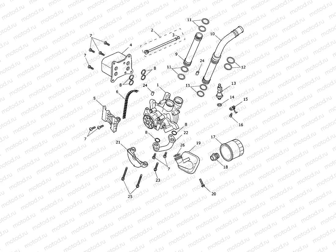 Oil Pump Drive