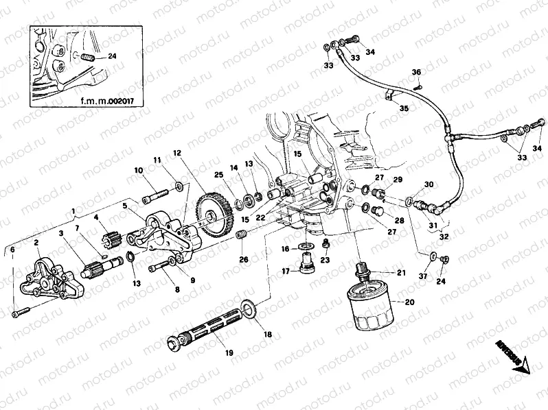 OIL PUMP - FILTER DUAL SEATER » LUBRICATION SYSTEM