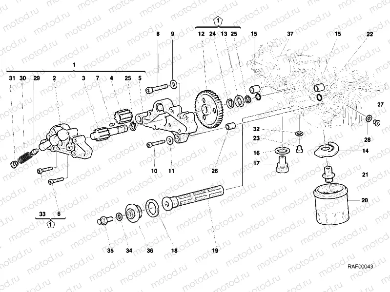 OIL PUMP - FILTER » LUBRICATION SYSTEM