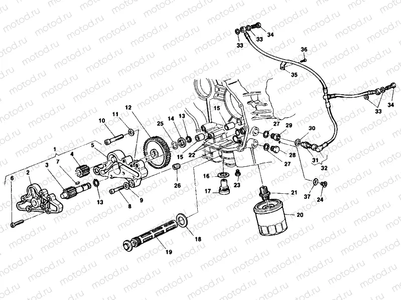 OIL PUMP - FILTER » LUBRICATION SYSTEM