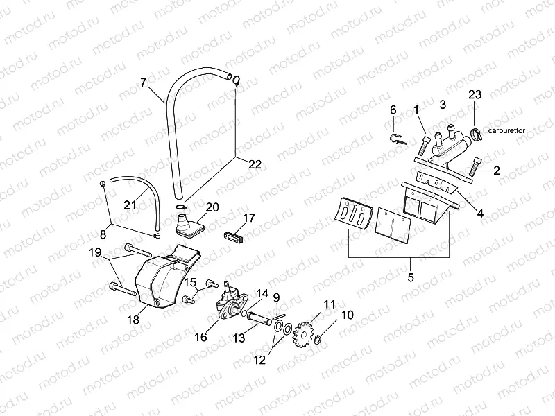 Oil pump - Manifold