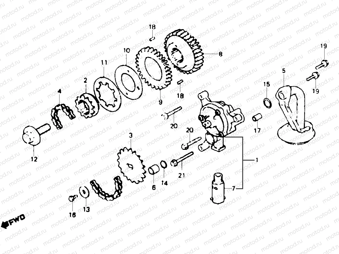 Oil pump & primary drive gear
