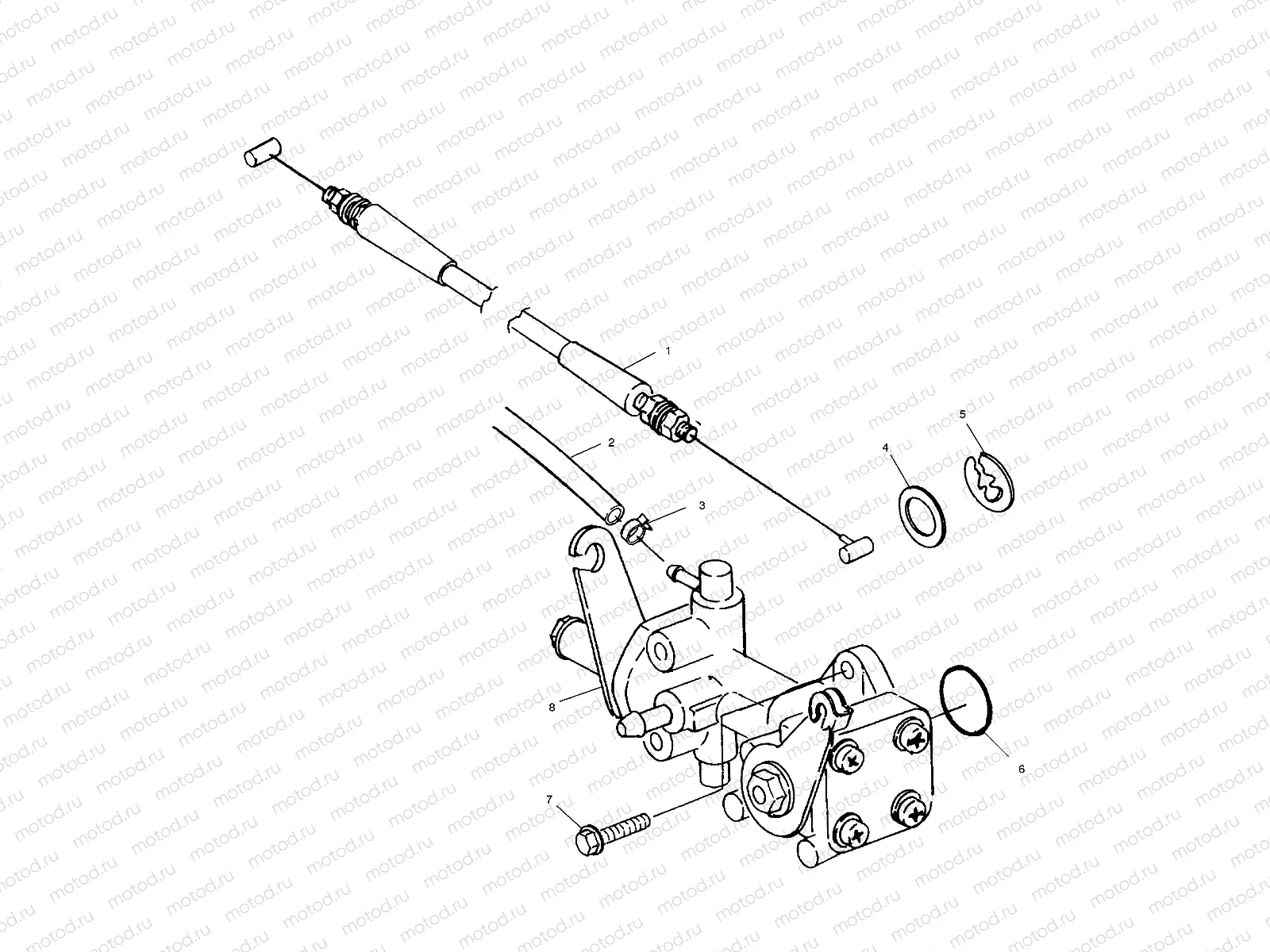 OIL PUMP - W005197I (4955815581C007) | OIL PUMP - W005197I (4955815581C007)